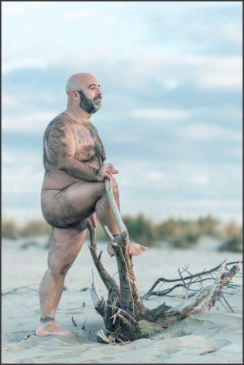orsiar: marioneta33: carson-bear: love BEAR follow +  carson-bear.tumblr.com   Bellí