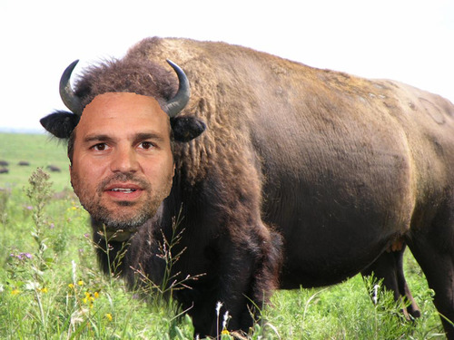markruffalo:  aos-skimmons:  so I was thinking that mark ruffalo sounds a lot like
