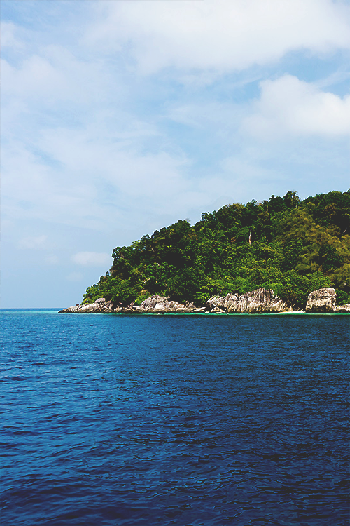 wearevanity:  Deep Green © 