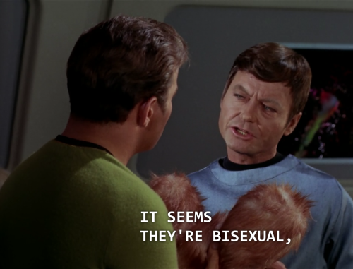 boobwindowkirk:  happy belated bisexual visibility day to all tribbles