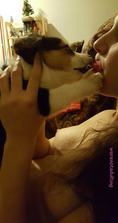 Puppy wants the paci 😁 adult photos