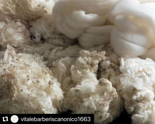 #Repost @vitalebarberiscanonico1663 with @make_repost ・・・ オーストラリア産の厳選された素晴らしい羊毛が、ヴィターレ・バルベリス・カノニコによっ