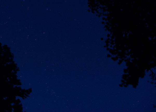 The Orionids from last night. My first GIF.