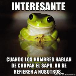 FUTUBANDERA ¡ES LA LUUUZ!