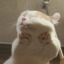lilyzambrano