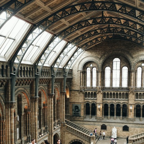 mestudyblr:Went out recently with a friend to the Natural History Museum, a place I find myself vis