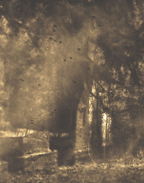activitesparanormales:David Hauguel, Metempsychosis, 2014
