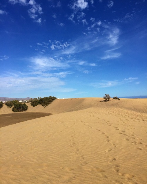 Maspalomas - Gran Canaria (by annajewelsphotography)Instagram: annajewels
