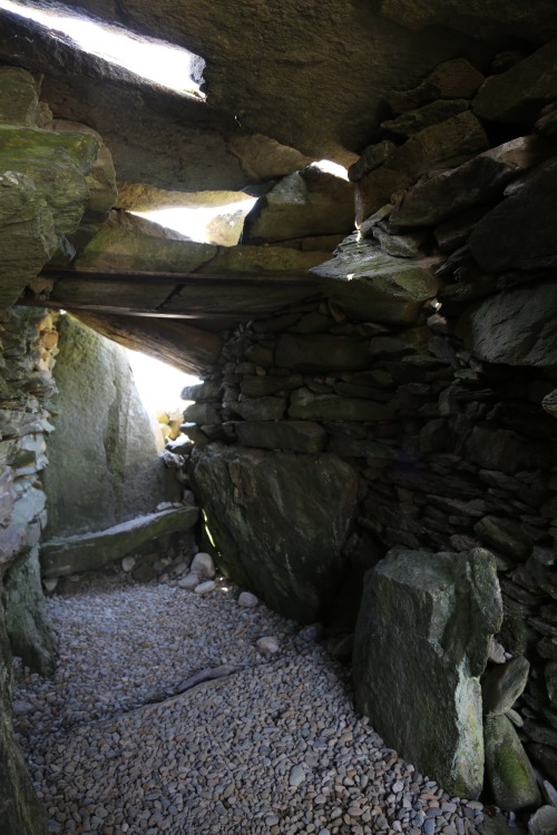 Nether Largie South Cairn and Interior, Kilmartin Glen, Argyll, 3.6.16. An exposed interior of the c