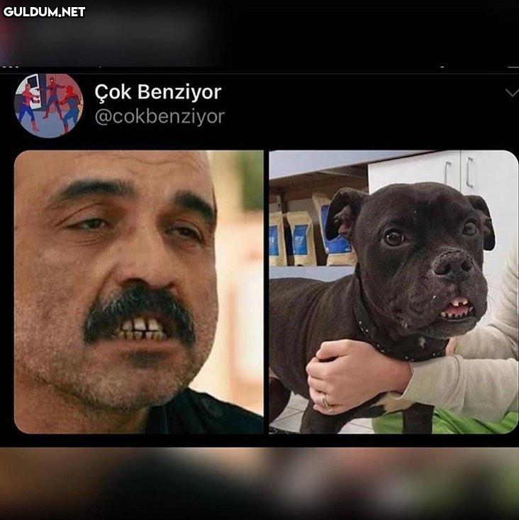 Benzer işler Çok Benziyor...