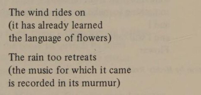 Atanas Vangelov, from Anatomy of a Flower; Reading the Ashes: An Anthology of the Poetry of Modern Macedonia (ed. by Milne Holton & Graham W. Reid) #atanas vangelov#macedonian literature#poetry#literature