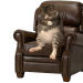 underwaterslopman:underwaterslopman:catasters:Middle aged dad in a recliner Pov someone