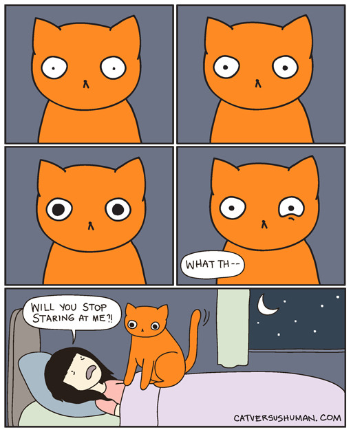 catversushuman:   &ldquo;I panicked and woke up in the middle of the night with