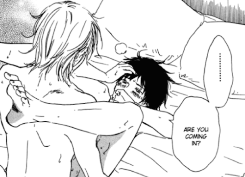homo habits
