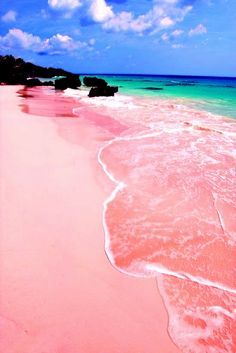smokendorf:  a4visuals:  sixpenceee:  Pink Beaches, Bermuda: The pink sand is the result of millions of tiny red sea creatures, such as clams, mollusks as well as other invertebrate,  that have been crushed by the powerful waves of the mid-Atlantic ocean.