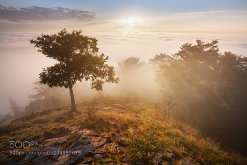 Morning over inversion by Rericha