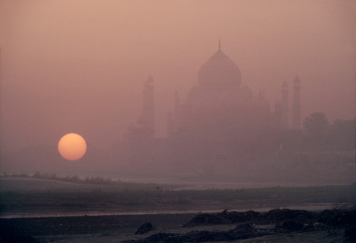 fotojournalismus:  Taj Mahal, Agra, 1985.Photographs by Raghu Rai