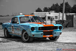 musclecarblog:  Shelby GT-350 ´66 by B&amp;B Kristinsson on Flickr. 
