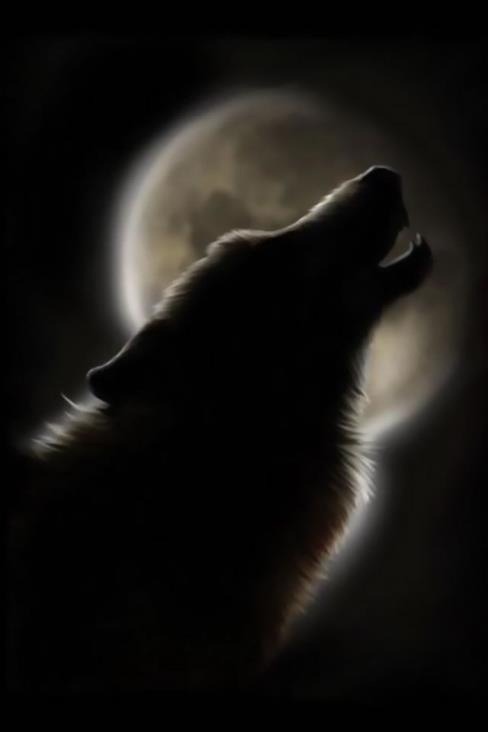 wolfstravelsinmind:  A part of me…that I cannot deny…turns to the moon and says “hello old friend, come with me on my search.” 