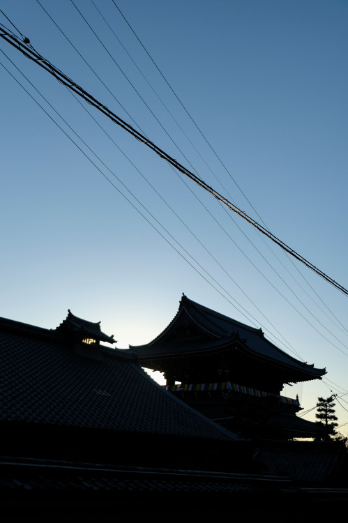  Konkai-Komyoji .Kyoto (2020)金戒光明寺 京都市左京区