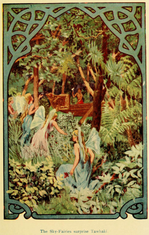 thefugitivesaint:“Maoriland Fairy Tales” by Edith Howes, 1913 (artist not credited)Source