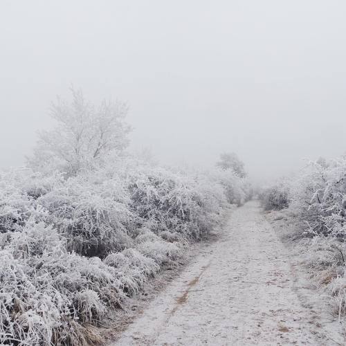 andantegrazioso:Into the white |  tastecode  