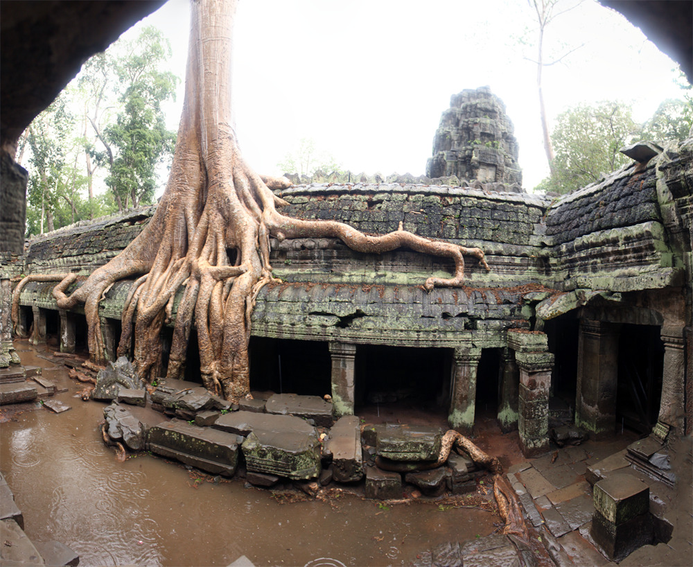 cosmofilius:   Ta Prohm - A Buddhist temple in Cambodia built between the late