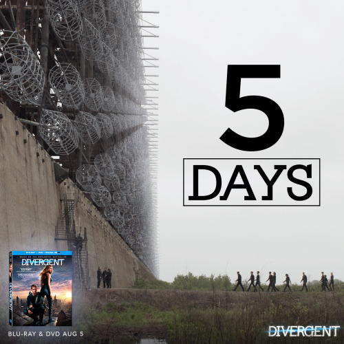 “Let’s just say they built the wall for a reason.” - Four http://www.divergent-movie.com/