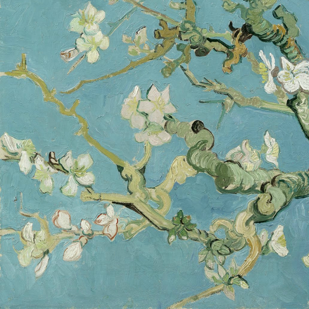 v-ersacrum:  Still lives of flowers by Vincent van Gogh (1853-1890) 