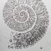 s-o-u-t-h-o-f-h-e-a-v-e-n-69:Spiral of Life ~ Alexander Butaev