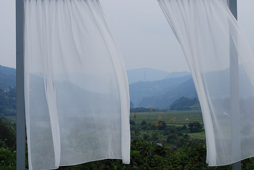 inflorescer:    