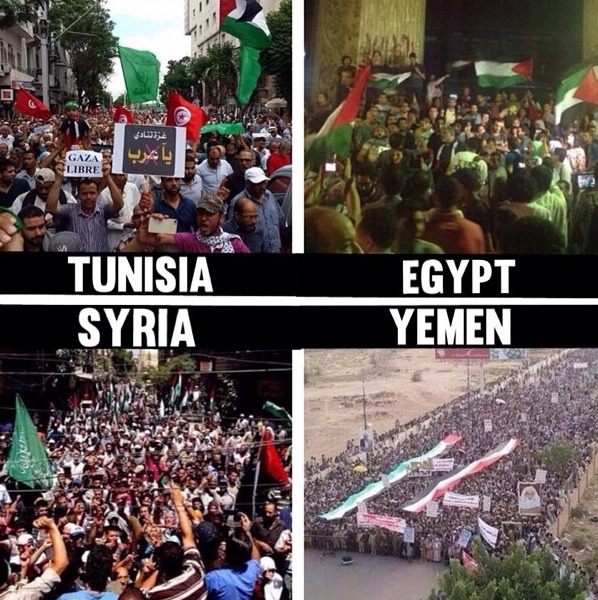 tsamthepoet:  The world stands with Palestine. 
