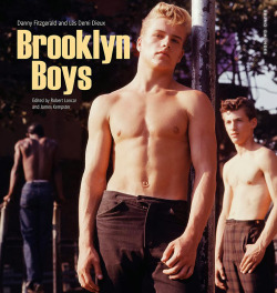 vvni: Brooklyn Boys: Danny Fitzgerald &amp; Les Demi Dieux, book 