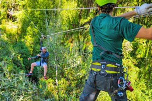 Canopy Tours, Rotorua, New Zealand