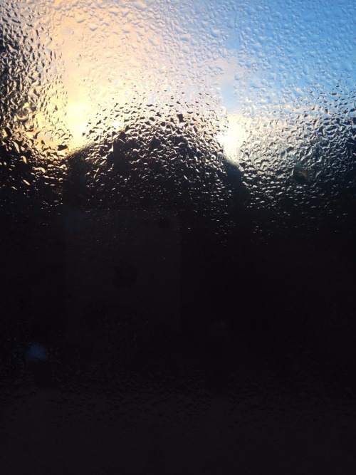 snailkiddo:  woke up early to a beautiful sunrise and dewy windows