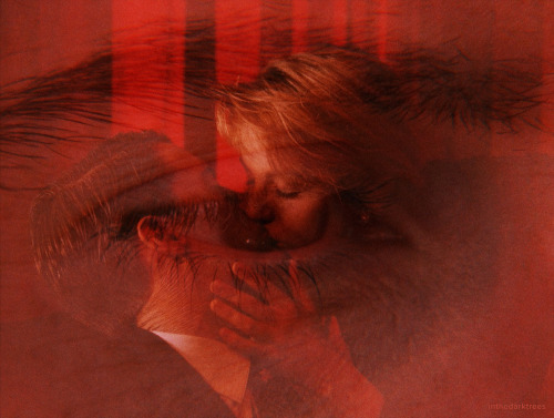 inthedarktrees:I’ve seen you in a dream.Kyle MacLachlan & Sheryl Lee | Twin Peaks