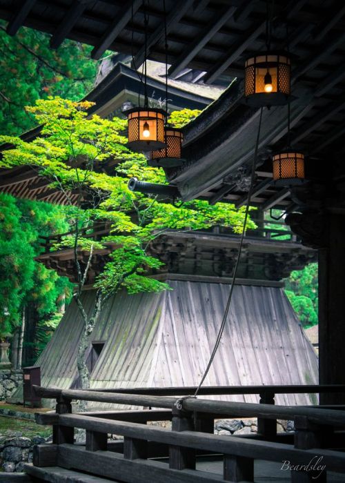 Lanterns at Danjo Garan, Koyasan