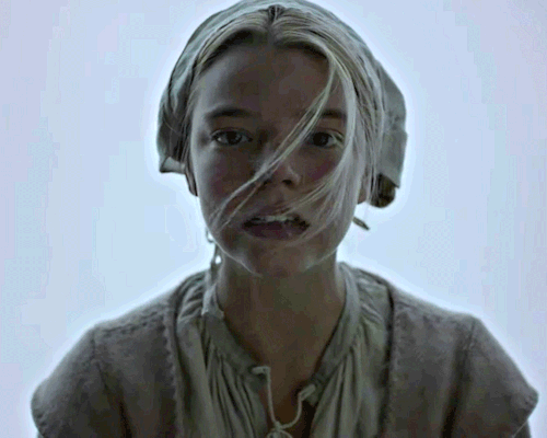 THE WITCH (2015) / THE LIGHTHOUSE (2019) / THE NORTHMAN (2022) / NOSFERATU (2024) 