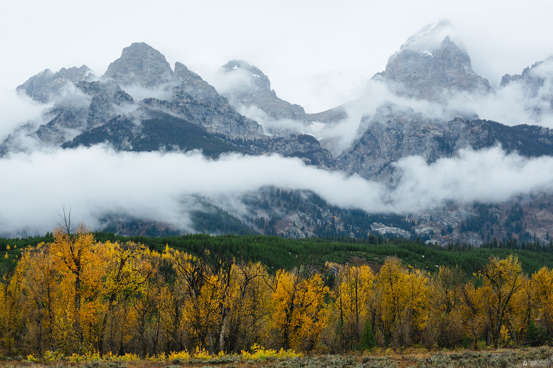 bbsinghphotography:  All I Need 
