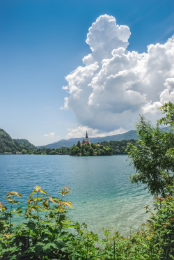theencompassingworld:  breathtakingdestinations:  Bled - Slovenia (by Michele)  The World Around Us