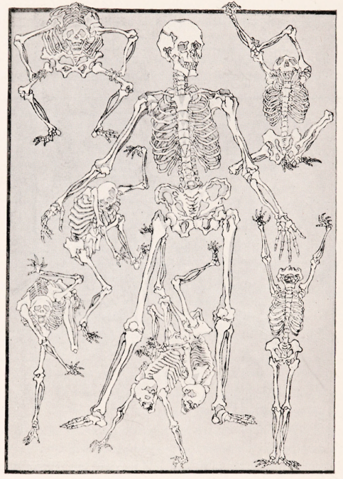 nemfrogtoe: Skeleton. Kyosai Kawanabe. Die Körperformen in Kunst und Leben der Japaner. 1925.