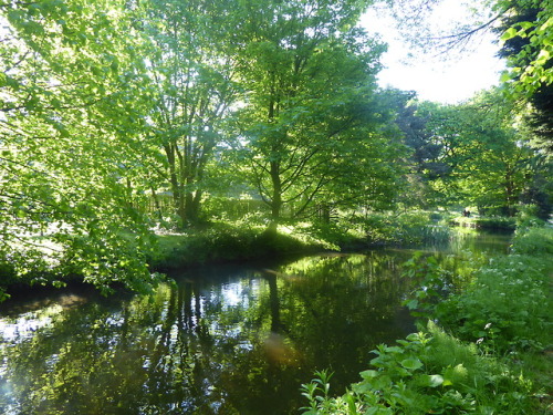 Beautiful walk to work this morning. This is my favourite season, everything is so fresh and greenYo