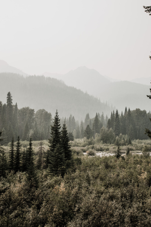 Midday light from forest fires in the Cascade Mountains, September 2017Read the Full Story on The Bl