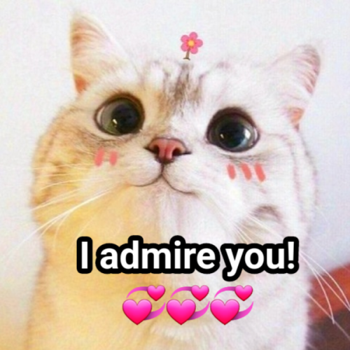 Thank You So Much