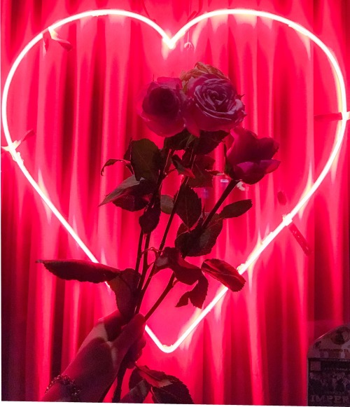 Porn sleazeburger: Neon romance at a porn shop photos