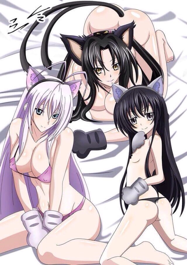 iichigo008:  Highschool dxd