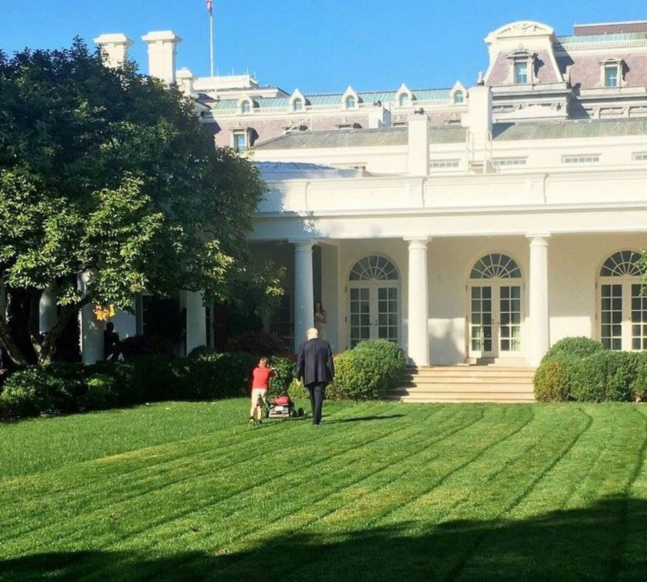 papavore:  nunyabizni:   lord-blongus: 10 year old boy asks to mow the White House