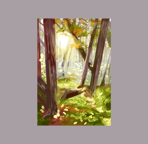 (23/10/2020)forest studies