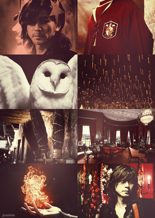 jussinta: BUCK-TICK x Harry Potter AU | Hoshino Hidehiko, Gryffindor(Sakurai, Imai, Yuta, Toll)