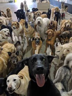 awwww-cute:  #SquadSelfie from the daycare!